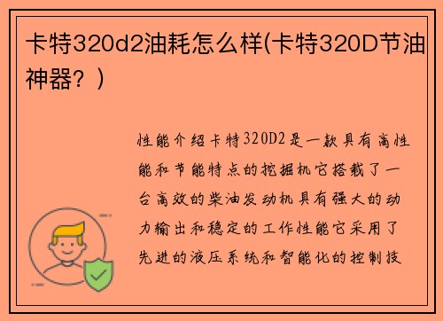 卡特320d2油耗怎么样(卡特320D节油神器？)